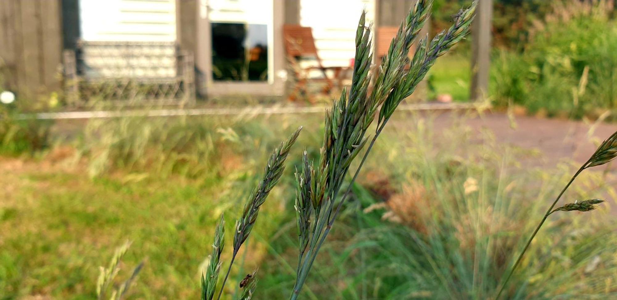 Anna'S Home Jurmalciems Bagian luar foto