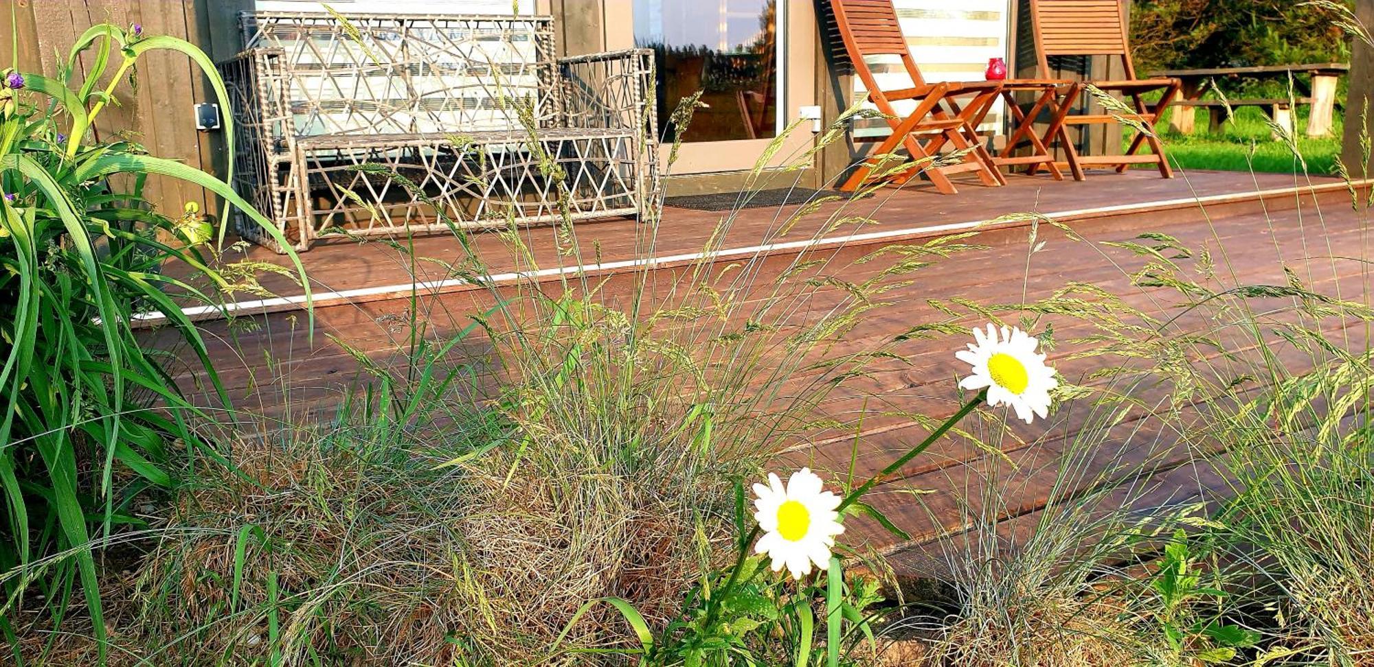 Anna'S Home Jurmalciems Bagian luar foto